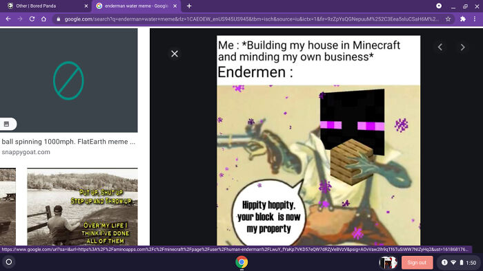 Lol Ok Doob Exspect Alot Of Ender Man Memes From Me!