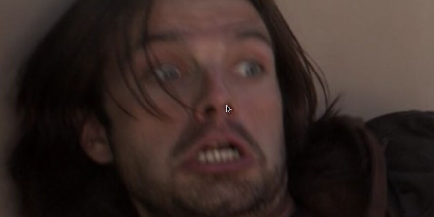 This Is Mine Its Bucky From Marvel Lookin Terrified