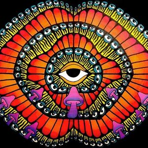 kamilabaganich avatar