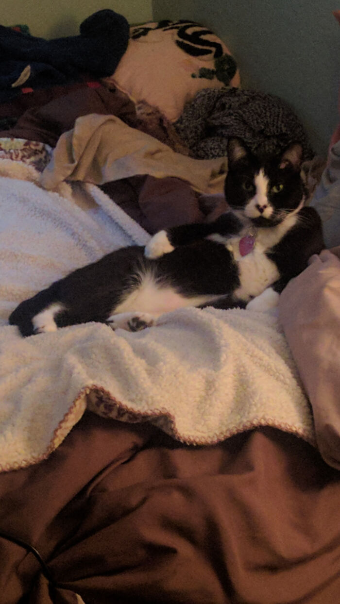 Should've Named Him George Costanza