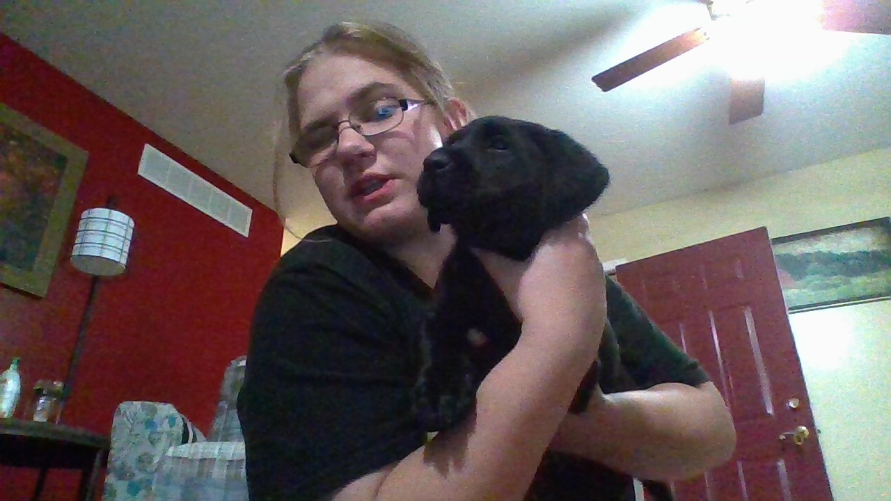 Share A Picture Of Your New Puppies Or Your Dogs In Your House