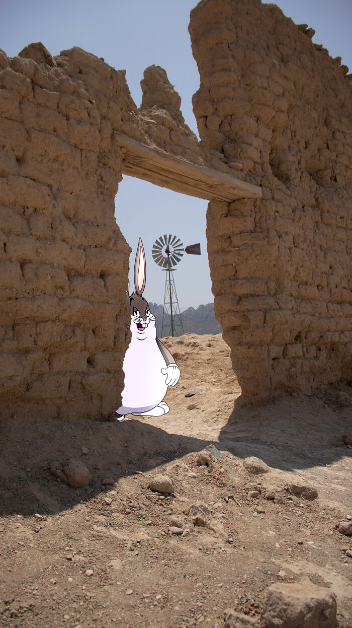 Big Chungus In The Dessert