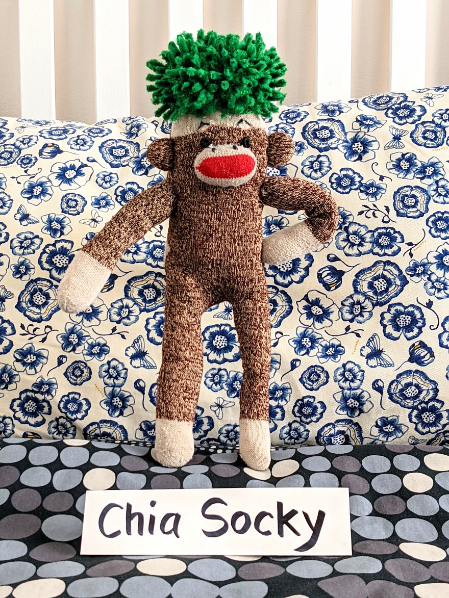 Since Covid Began, I Have Tried To Make My Wife Laugh Every Day By Creating Amusing Situations With A Sock Monkey. Here Are 40.