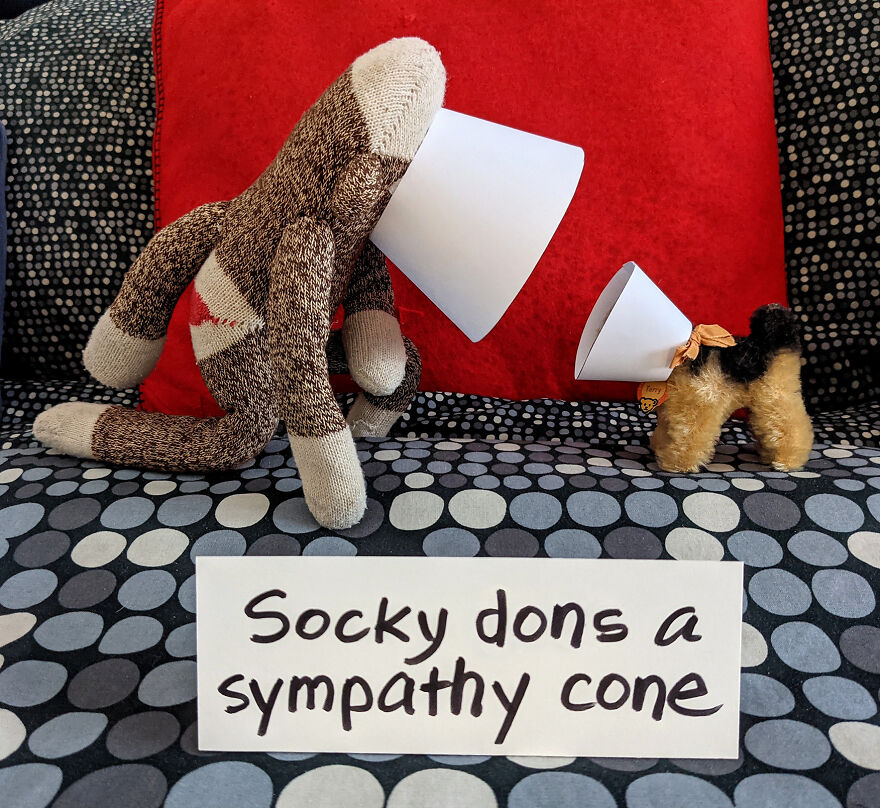 Since Covid Began, I Have Tried To Make My Wife Laugh Every Day By Creating Amusing Situations With A Sock Monkey. Here Are 40.