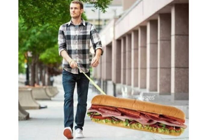 Man Walking His Sub