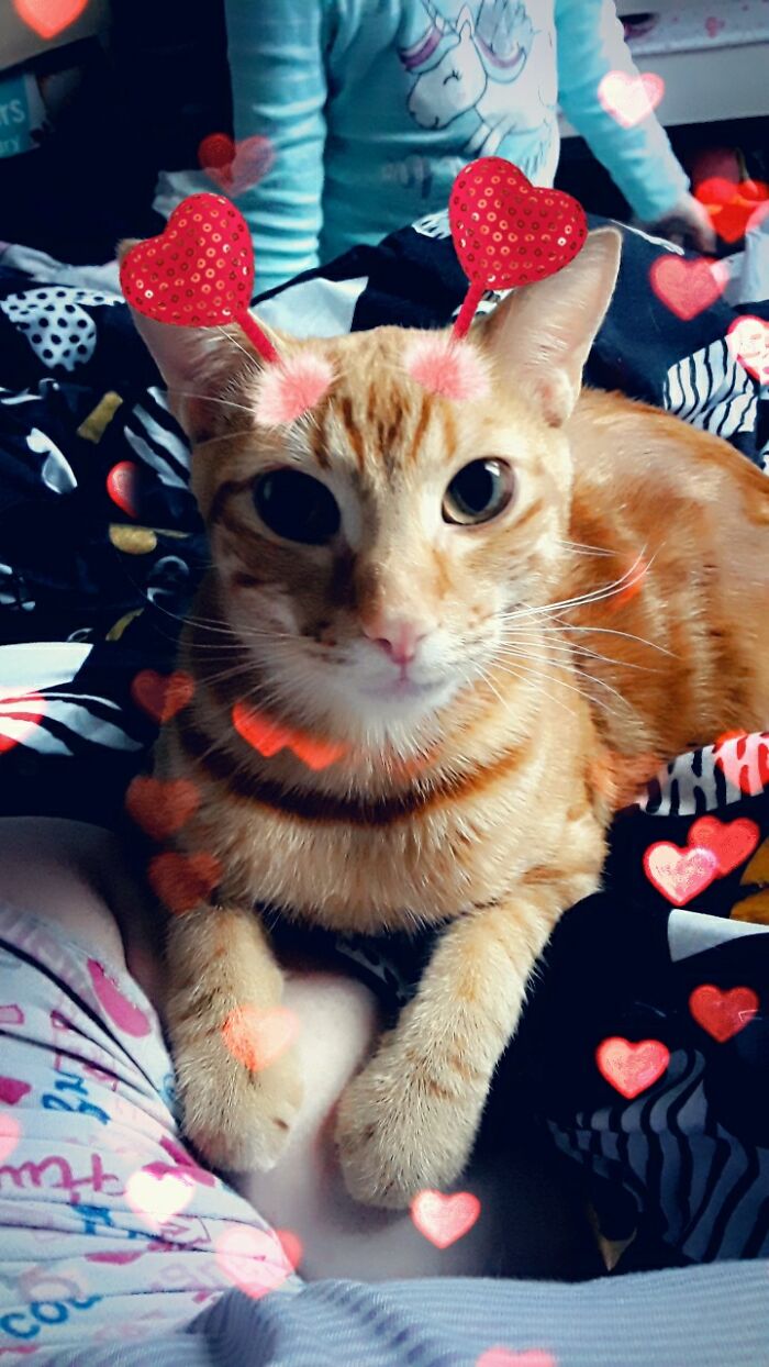 Loki Is My Little Weirdo!