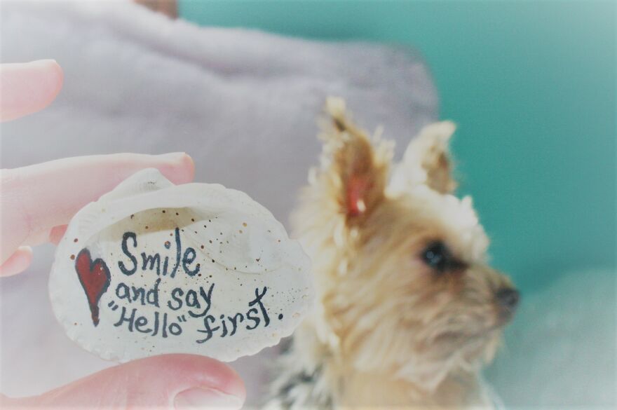 Some Cool Photos I Took Of My Dog, Luna In Quarantine.