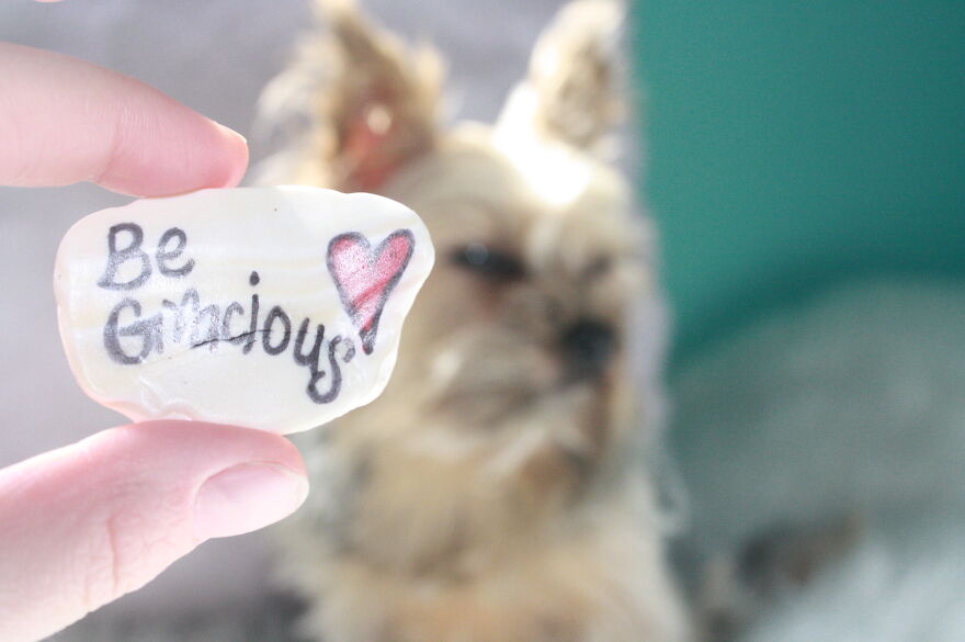 Some Cool Photos I Took Of My Dog, Luna In Quarantine.