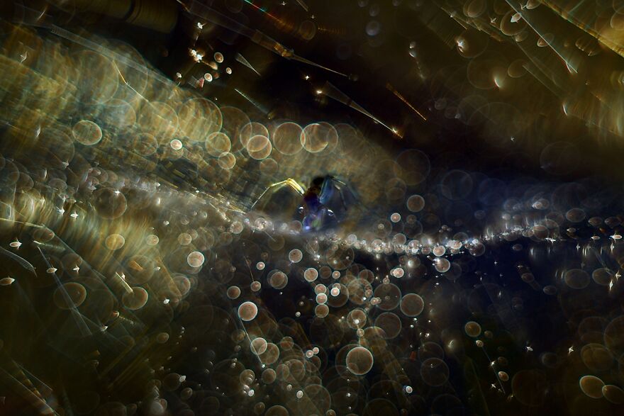 I Photograph Spiders And Their Beautiful Faces