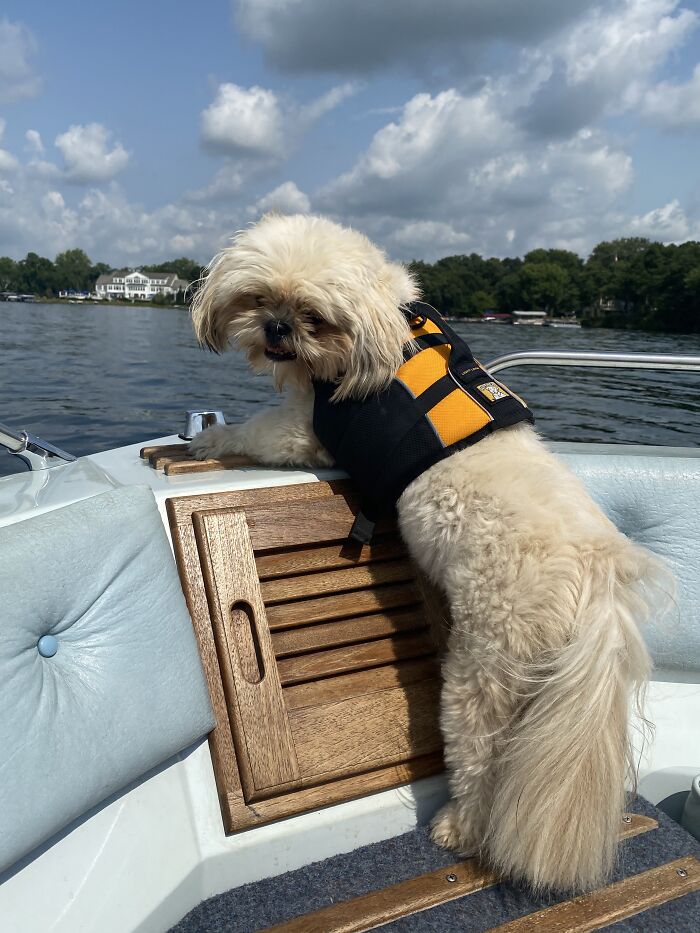 My Little Sailor Riley