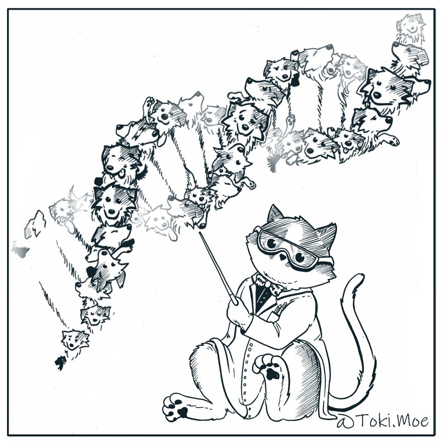 My 27 More Comics And 2 New Animations That Show What It’s Like To Live With A Cat And A Dog