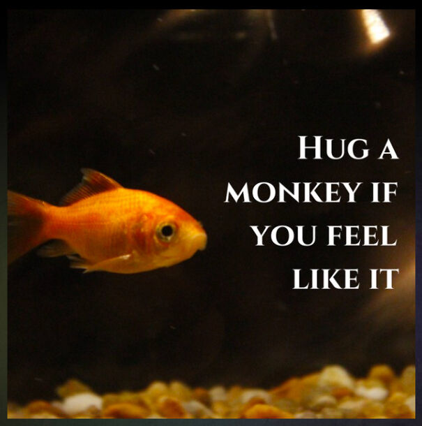 This A. I. Creates Inspirational Quotes, And The Results Are Hilarious (15 Images)