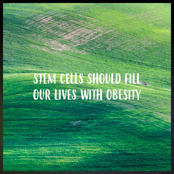 This A. I. Creates Inspirational Quotes, And The Results Are Hilarious (15 Images)