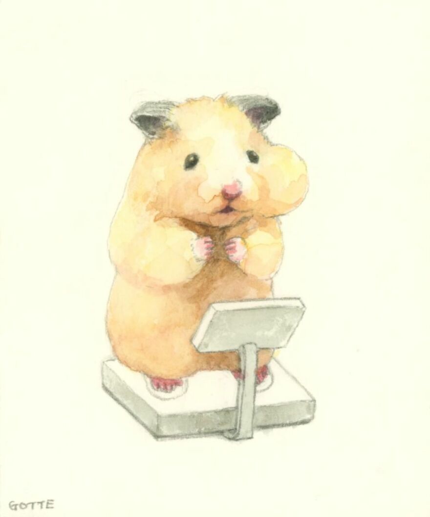 This Adorable Hamster Lives A Human Existence (New Pics)