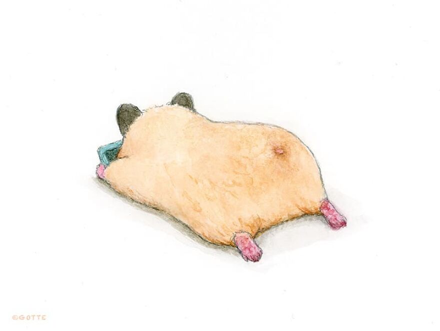 This Adorable Hamster Lives A Human Existence (New Pics)