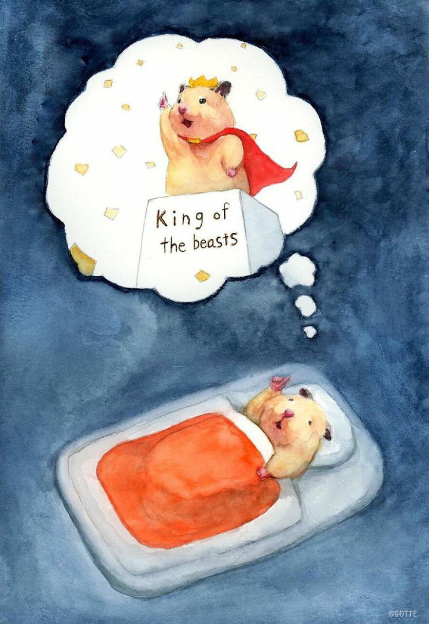 This Adorable Hamster Lives A Human Existence (New Pics)