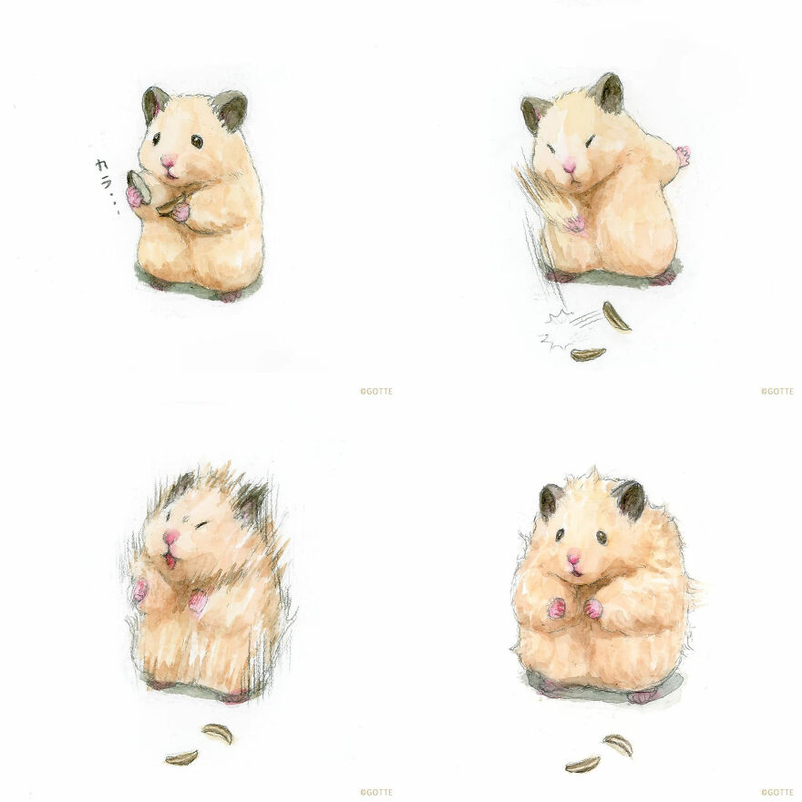 This Adorable Hamster Lives A Human Existence (New Pics)