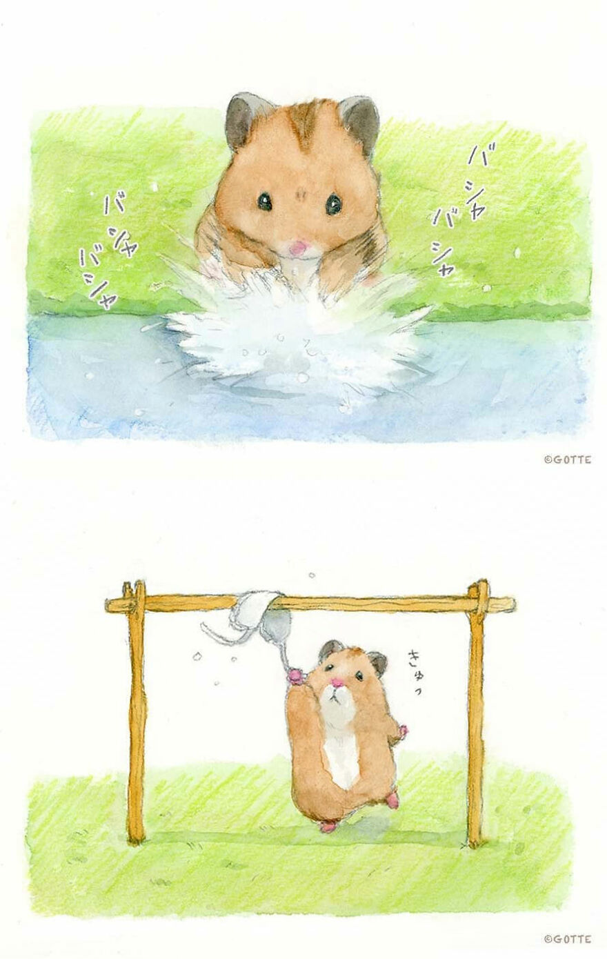 This Adorable Hamster Lives A Human Existence (New Pics)