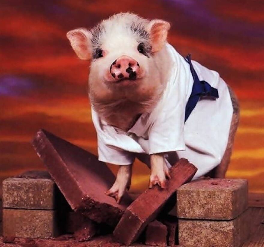 This Is My 9gag Collection For The Month. After 3 Years I Have Quit The Site As A Protest