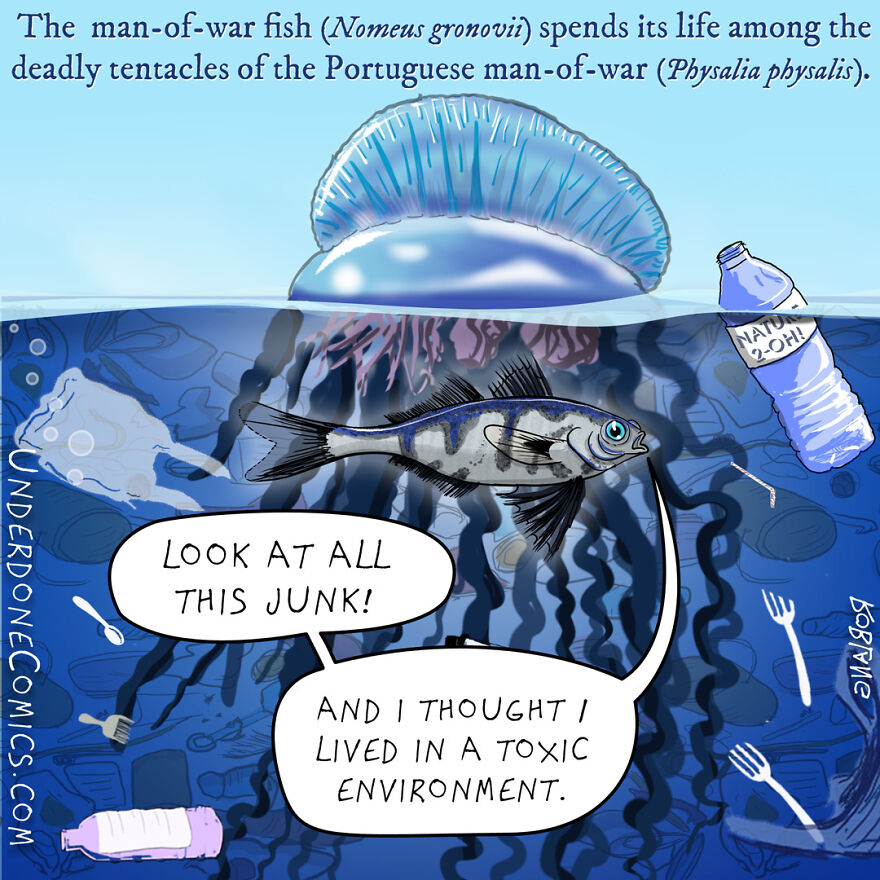 Comics-Ocean-Pollution-Underdone-Comics-Rob-Lang