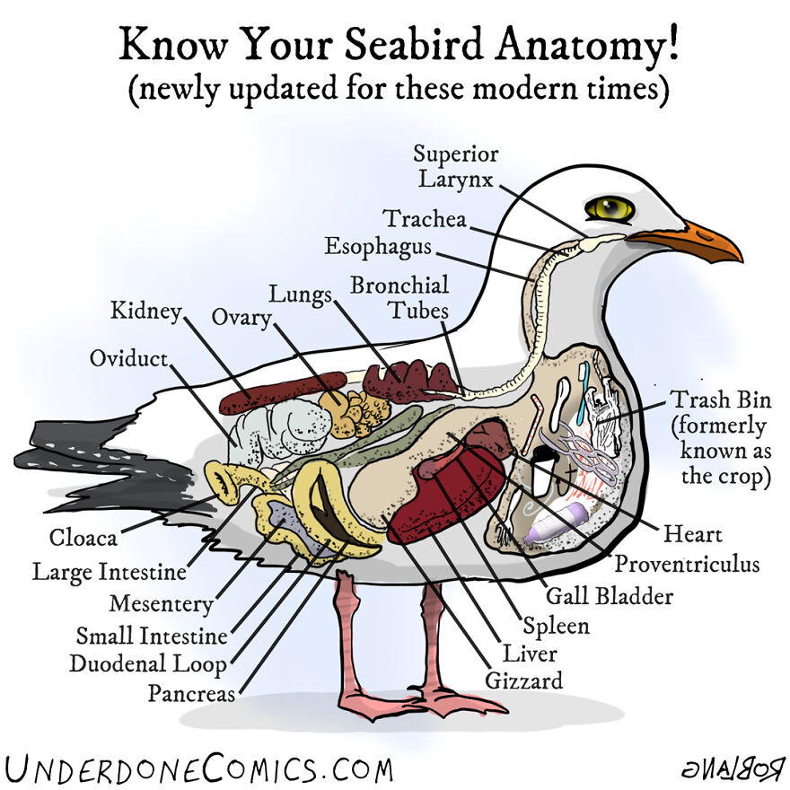 Comics-Ocean-Pollution-Underdone-Comics-Rob-Lang