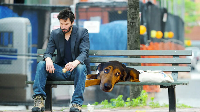 Like Owner Like Dog...