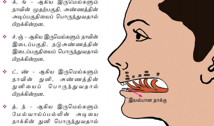 Hey Pandas, Share A Few Horrifying Or Weird Pictures From School Textbooks (Closed)