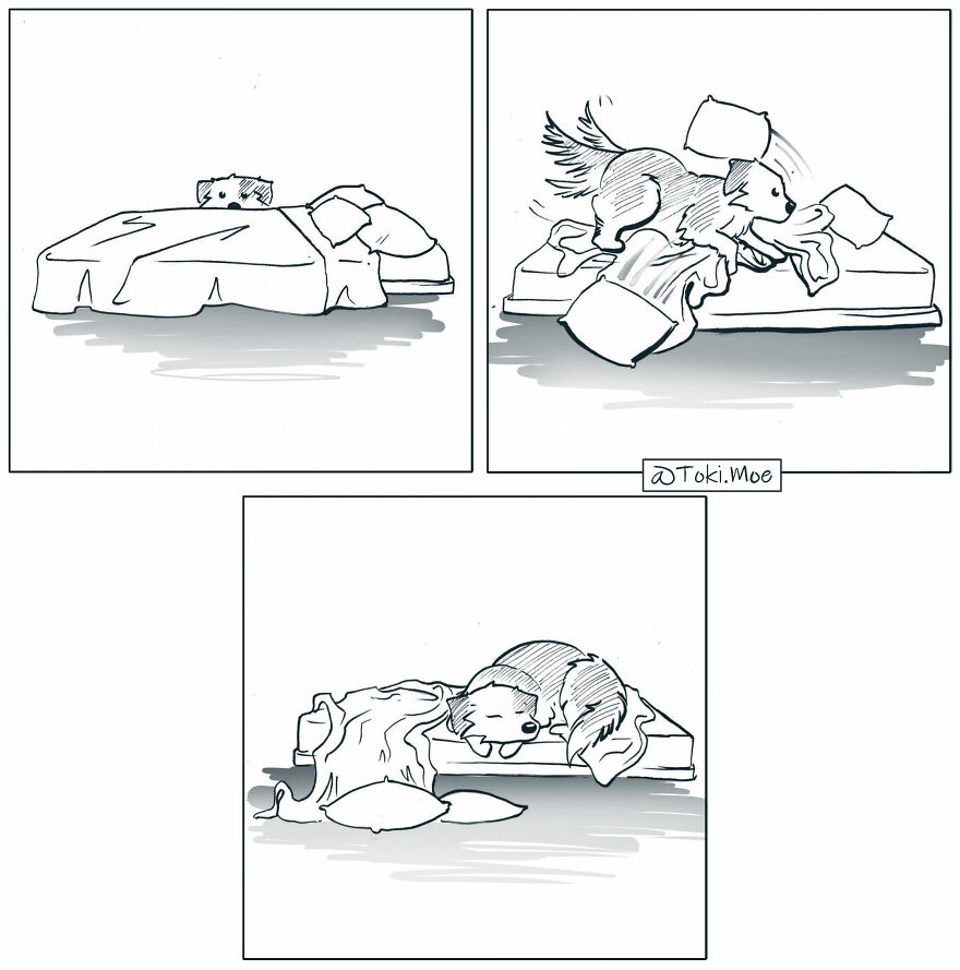 My 27 More Comics And 2 New Animations That Show What It’s Like To Live With A Cat And A Dog