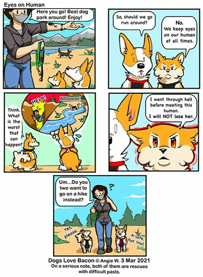 Comic strip showing two adopted dogs cautious at a dog park, highlighting life with rescue dogs and their loyalty.