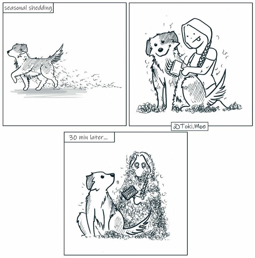 My 27 More Comics And 2 New Animations That Show What It’s Like To Live With A Cat And A Dog