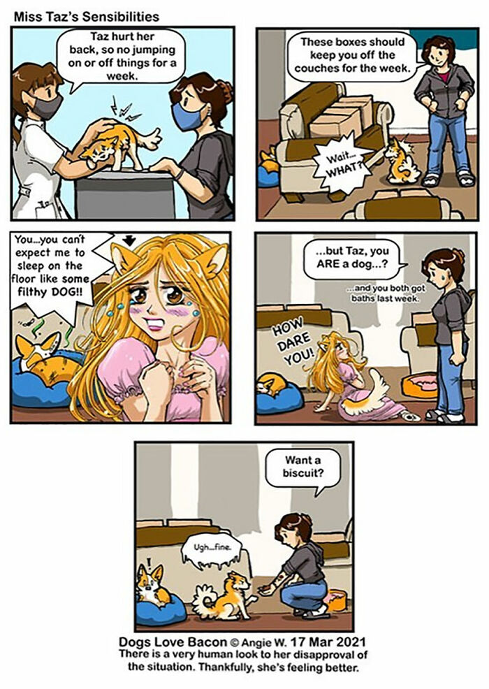 Comic strip shows relatable life with two adopted dogs, featuring humor about dog care and pet-owner interactions.