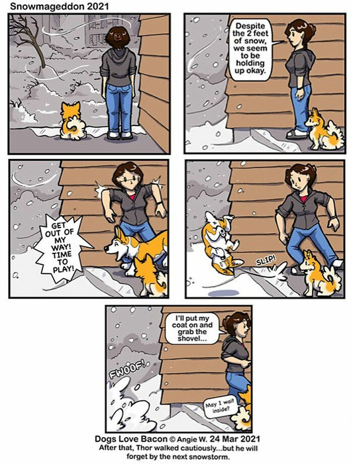 Comic strip showing relatable life moments with two adopted dogs during a snowy day in a Rescue Tales series.