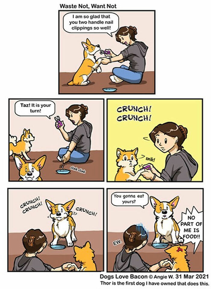 Comic strip showing a person clipping nails of two adopted dogs and one dog eating the nail clippings as a treat.