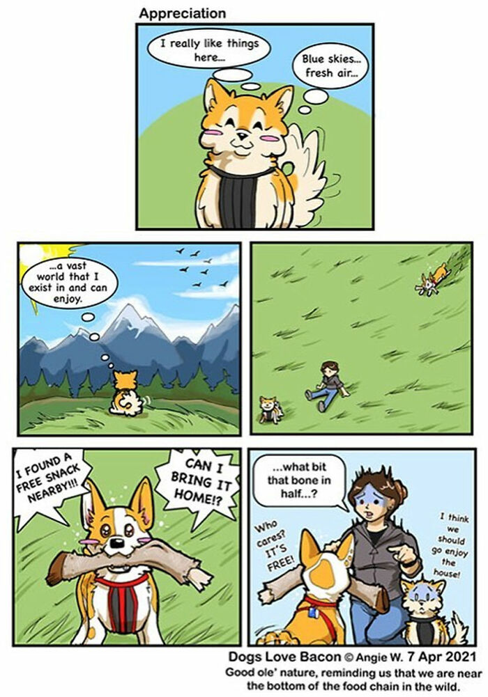 Comic panels showing an adopted dog appreciating nature, playing outside, and finding a free snack with its owner nearby.