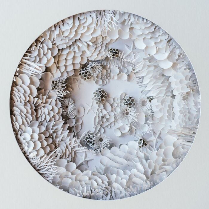 Bleached Coral - About Two Weeks With Very Little Sleep.