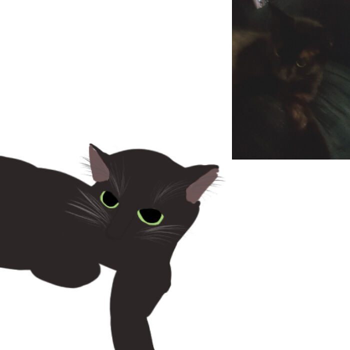 A Quick Drawing Of My Cat. His Name Is Rumor