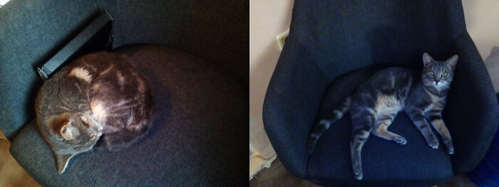 Vlad At 4 Months And Vlad At 10 Months