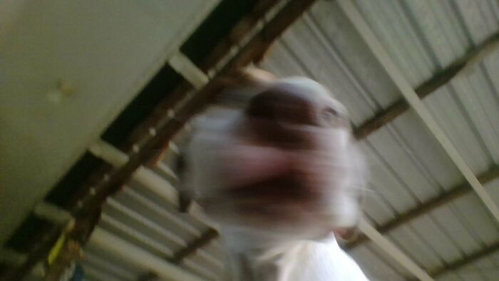 He Aint The Best At Posing...