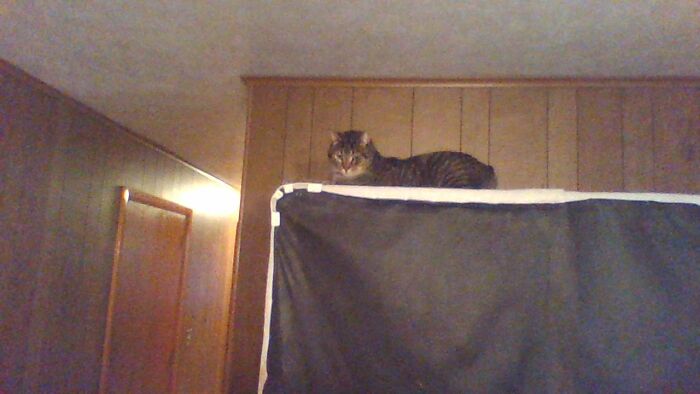 I'm Not Doing Anything....