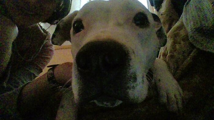 My Cousin And My Puppo