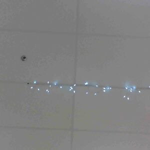 elizabeth-christmas0603 avatar