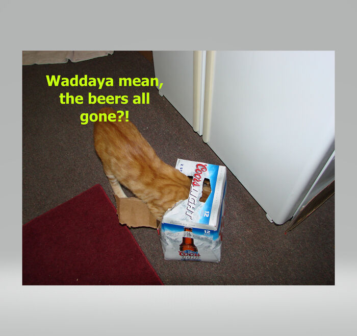 Waddaya Mean, The Beers All Gone?!