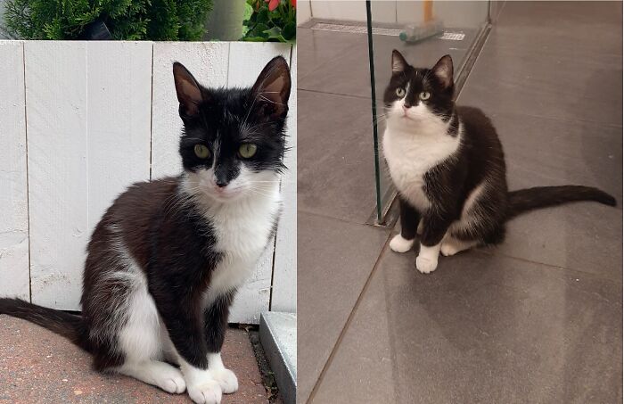 Puk Grew Into A Handsome Innocent Looking Boy