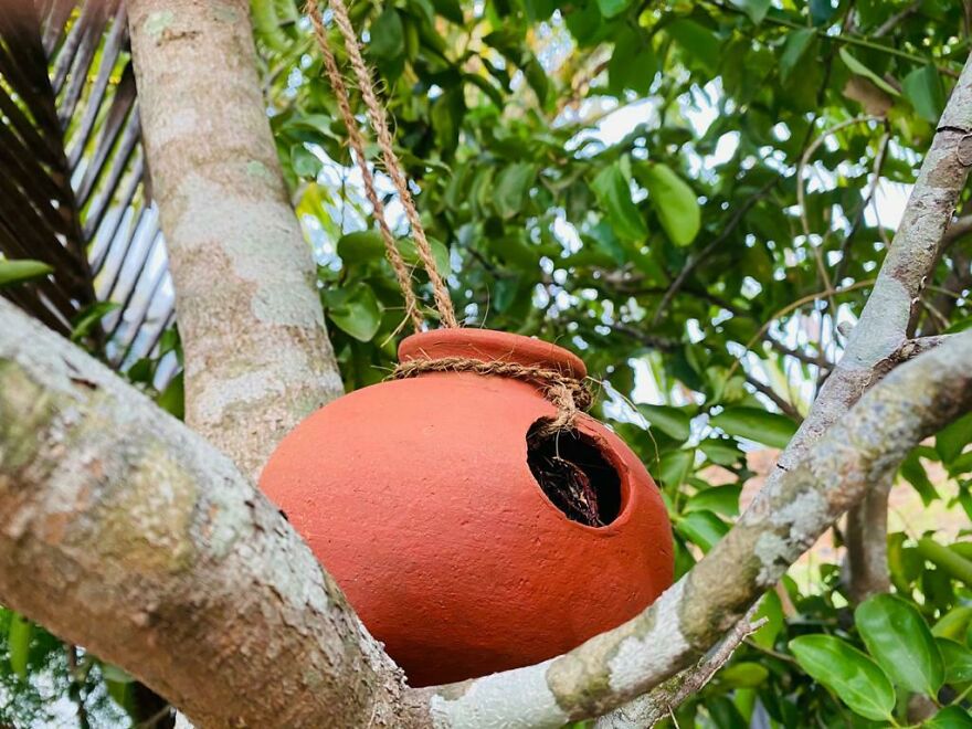 Abode For Lil Ones To Nap