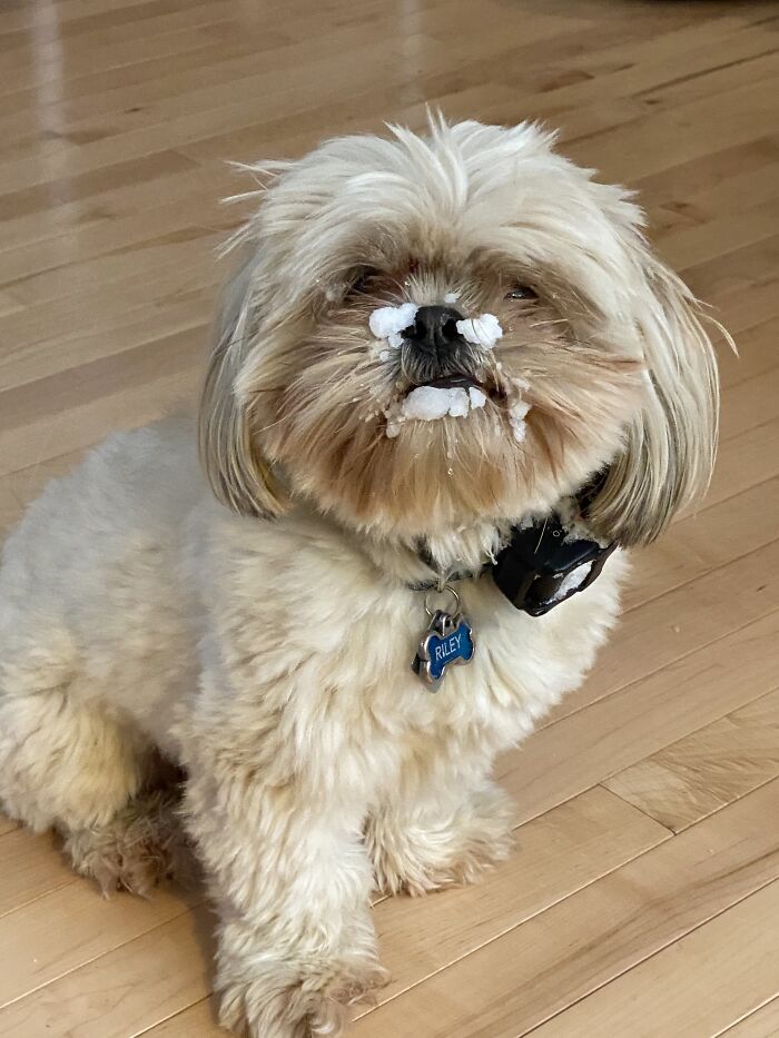 My Boi Riley Enjoying Winter & Summer!