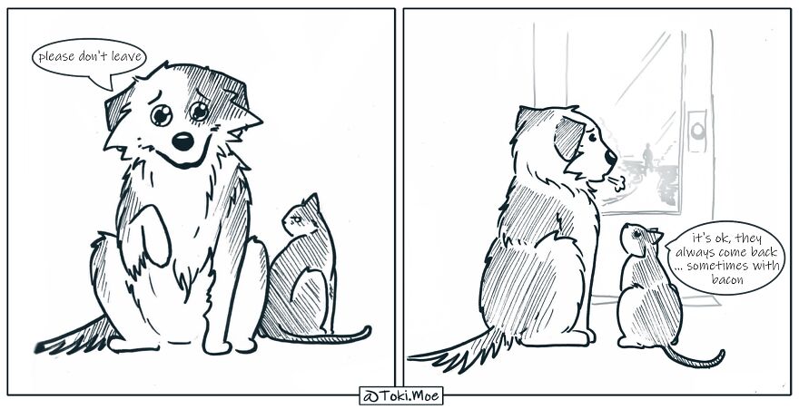 My 27 More Comics And 2 New Animations That Show What It’s Like To Live With A Cat And A Dog