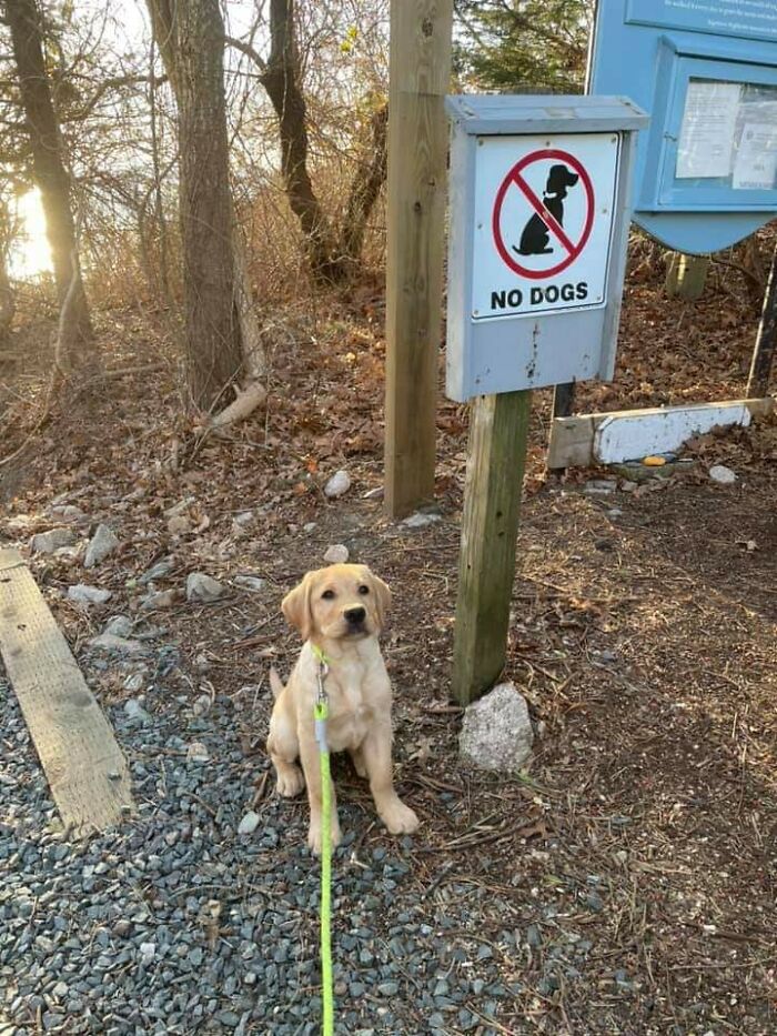 Animals-With-Threatening-Auras-Pics