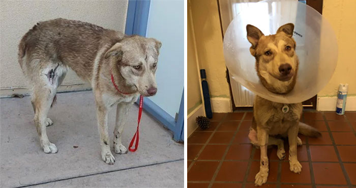 It's Amazing The Difference 3 Weeks Makes