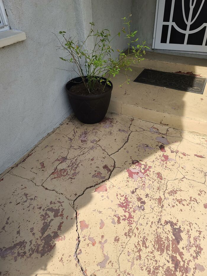 Bizarre-Structural-Inspections-Pics