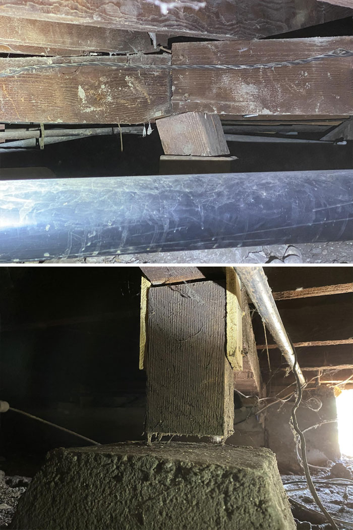 Bizarre-Structural-Inspections-Pics